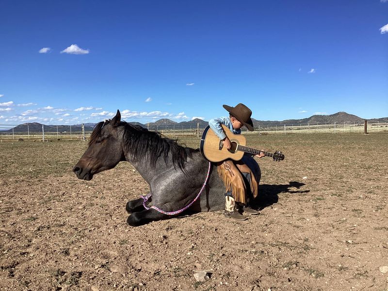 Ranch Country That Stays Peaceful at Dusk