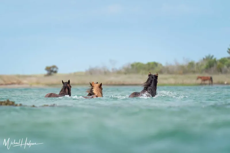 Strict Visitor Guidelines