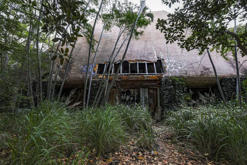 Nature's Aggressive Reclamation