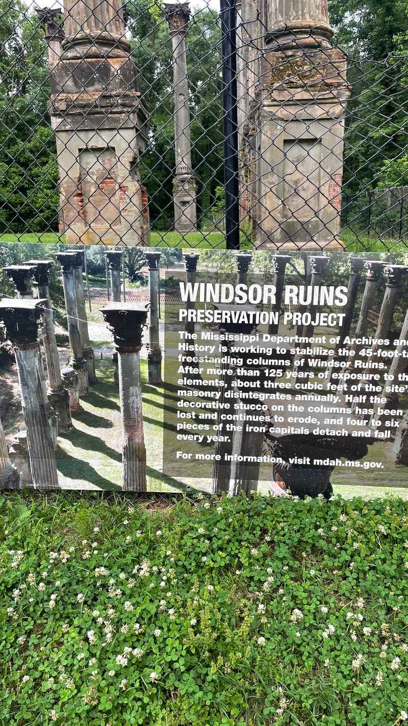 Meredith’s Lakeside Walks Under Quiet Snowfall