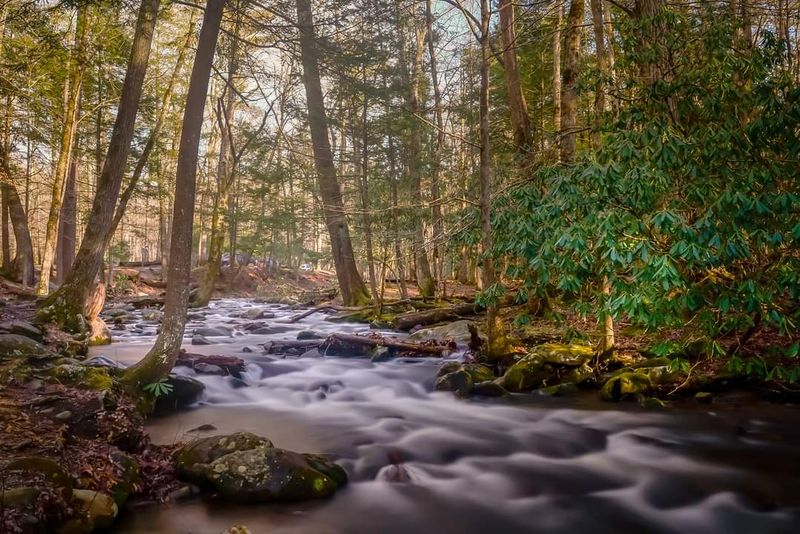 The Trails That Lead to the Cove’s Secret Corners