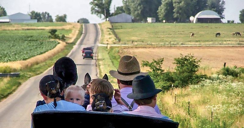 Avoid Loud Behavior and Noise