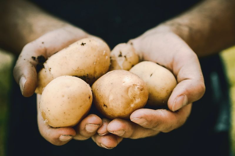 Selling Imperfect Potatoes as Idaho Deluxe is Criminal