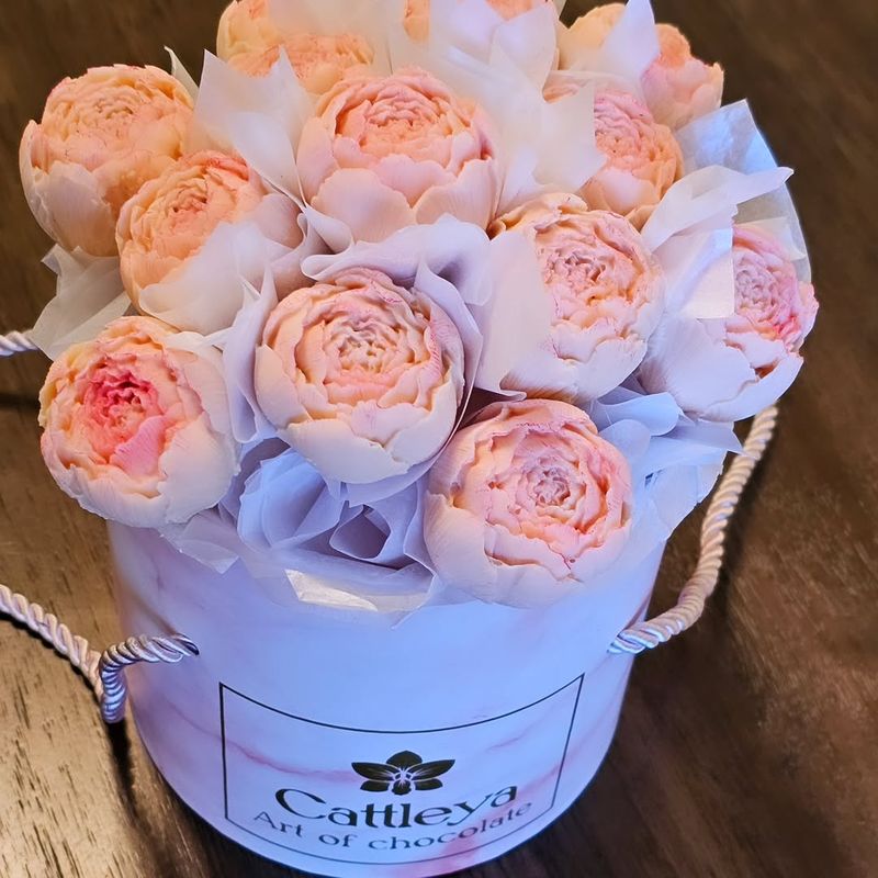 Cattleya Art Of Chocolate