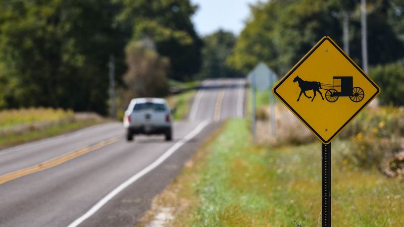 Honking at Buggies on the Road
