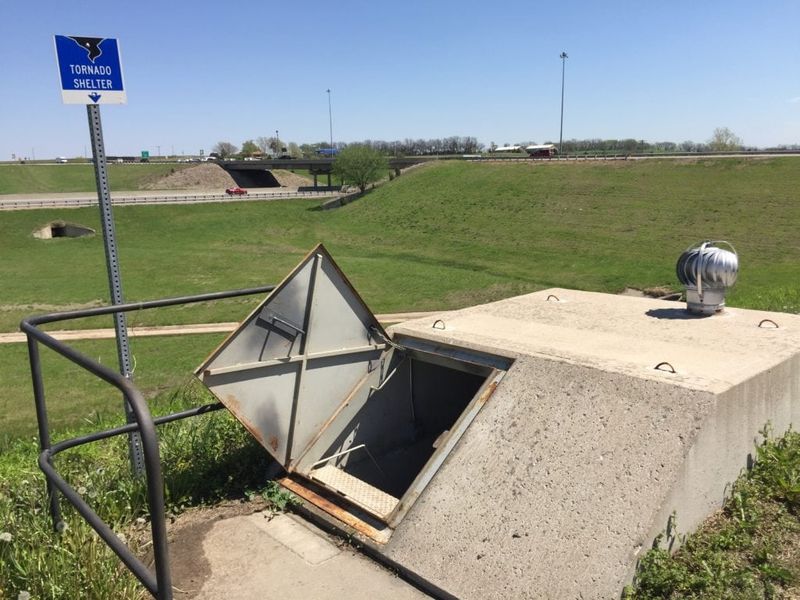 Violating Public Park Curfews