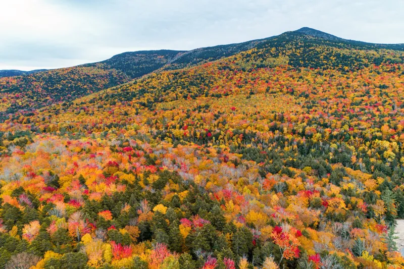 Waterville Valley’s Protected Slopes