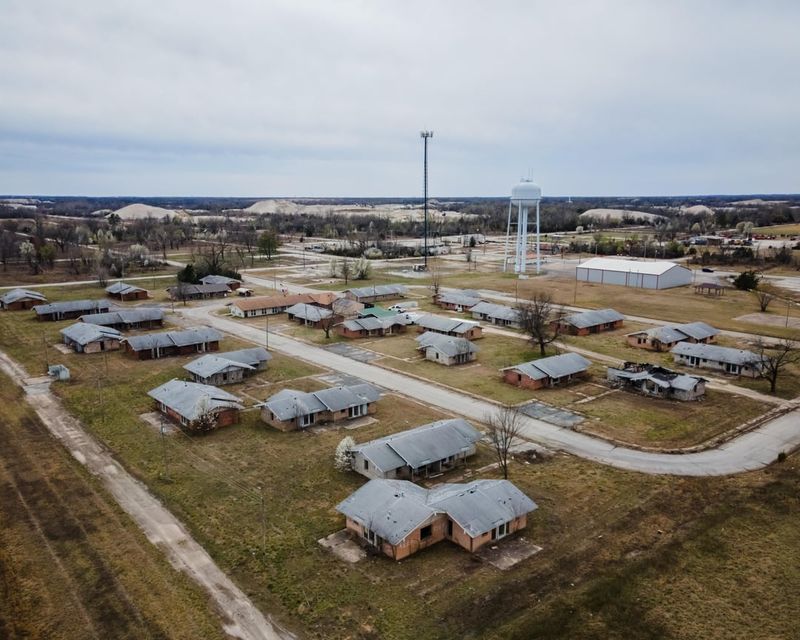 The Government Buyout Program