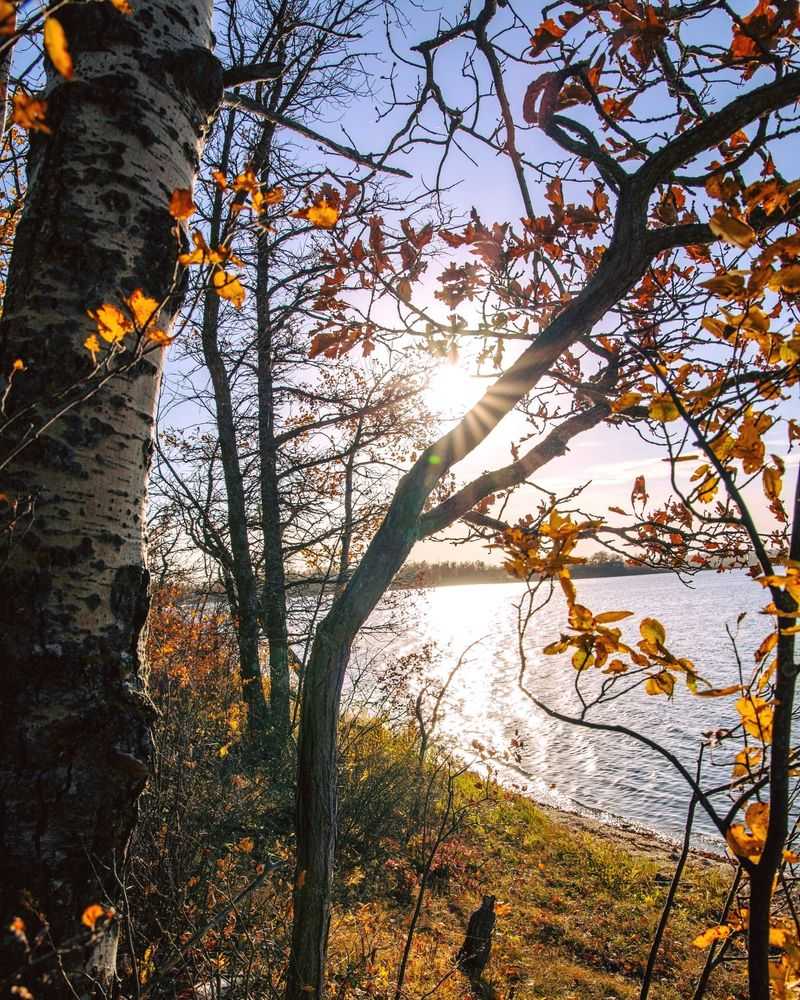 Turtle Mountains Trapper’s Cabin, near Lake Metigoshe