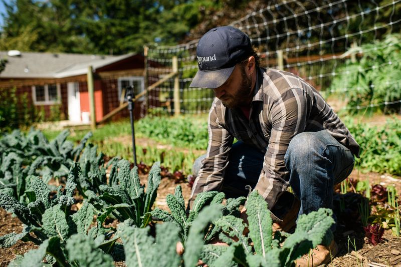 The Heart of Farm-to-Table Dining