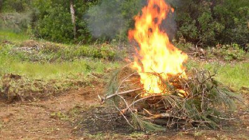 Campfire Bans That Pivot With the Afternoon Wind