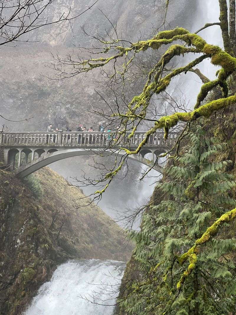 Benson Bridge and the perfect mid frame vantage