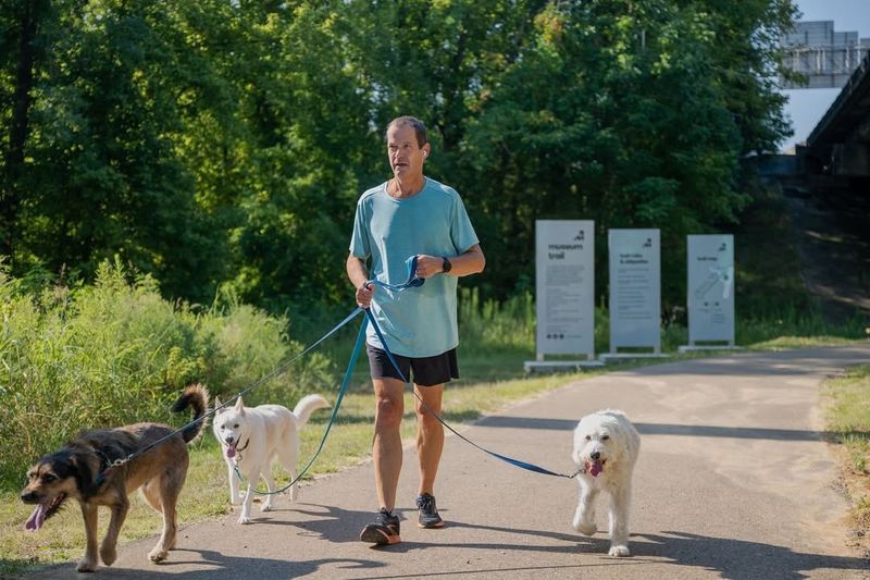 Walking Dog Without a Leash