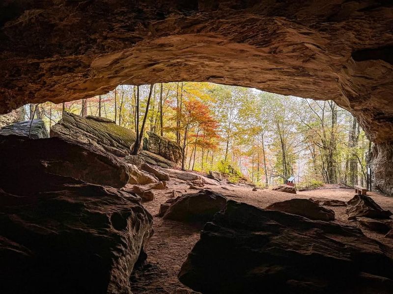 The Interpretive Boardwalk at Night