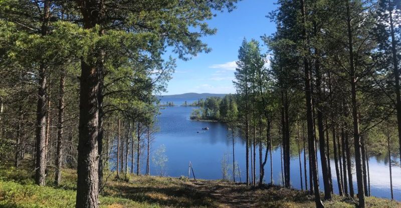 The Paused Moment of Abandonment