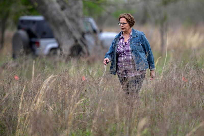 The Heartbreaking Parental Quest