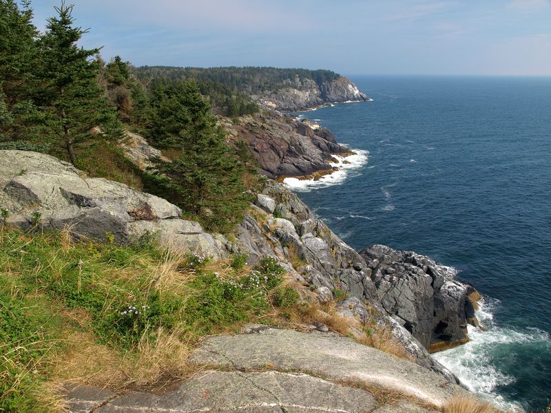 Forest Village Trails, Wild and Rugged Paths