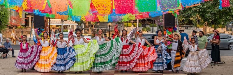 The Embrace of Diversity