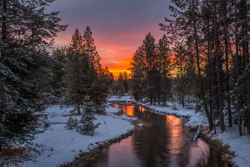 Exploring Island Park’s Surrounding Beauty