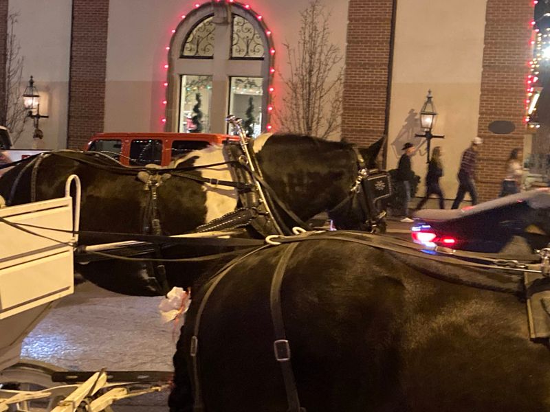 Cozy Horse-Drawn Carriage Rides