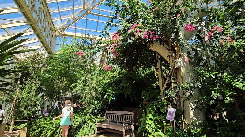 Cecil B. Day Butterfly Center - Where Wings Create Living Art