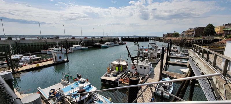 The Eastport Cold-Water Seafood Circuit – Eastport