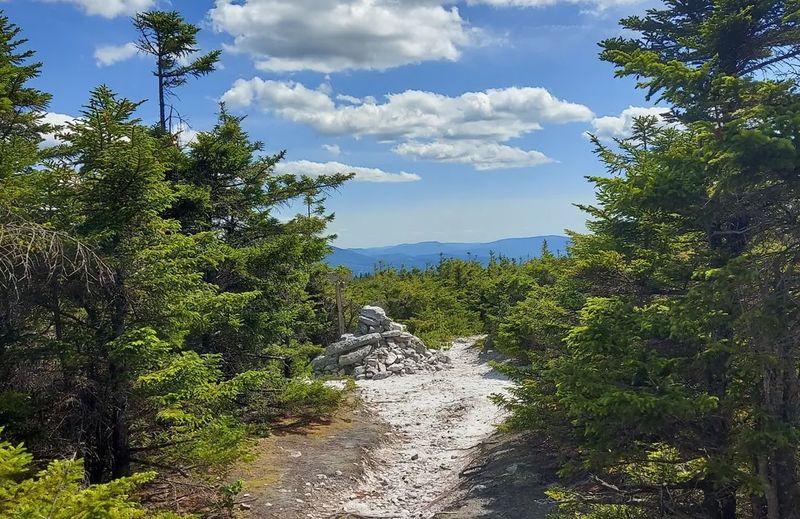 Echoes That Talk Back