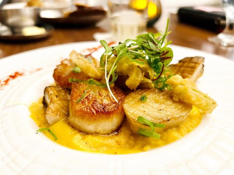 Oystercatchers - Tampa