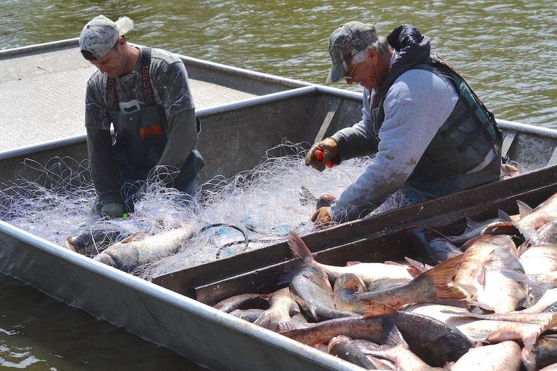 Fishing in Your Pajamas