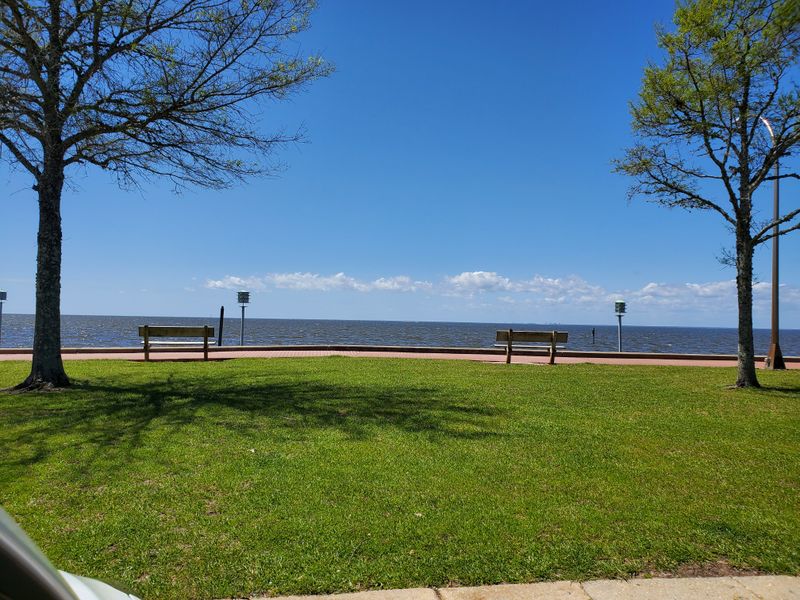 Rose Garden and Fountain by the Bay