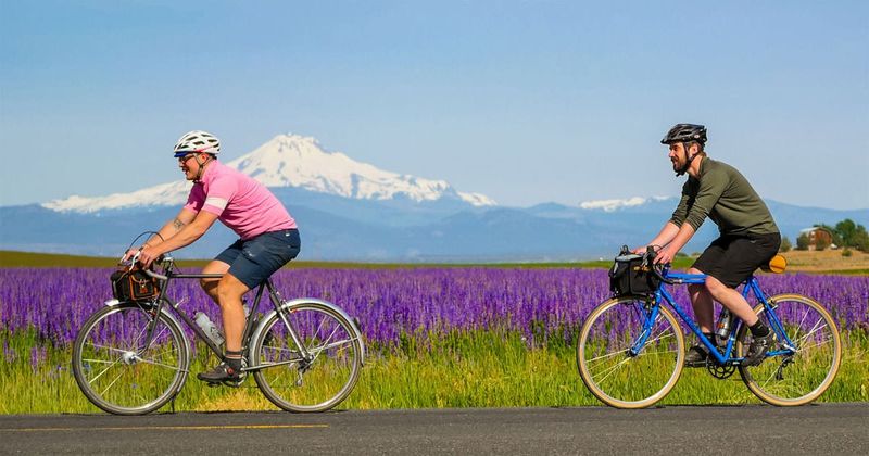 The Eco-Conscious Lifestyle