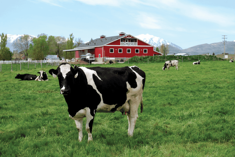 The Proximity of Producers