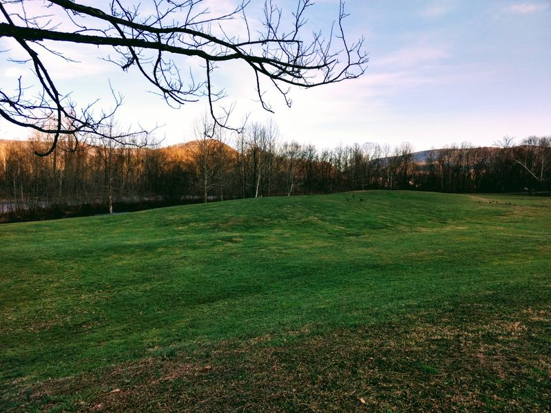 Genuine Small-Town Pace