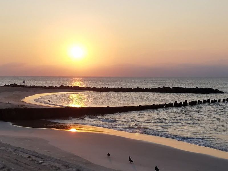 Dawn Walks and Spinning Wood