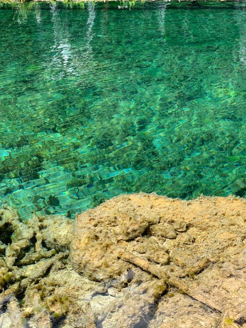 The First Glimpse of Turquoise Magic