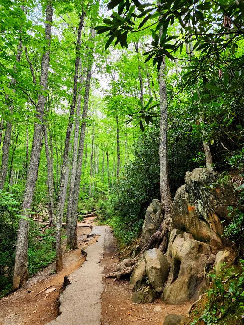 Seasonal Beauty Throughout the Year