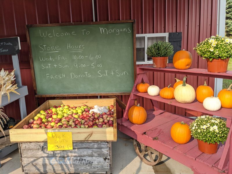 Morgan's Farm Market, Marion