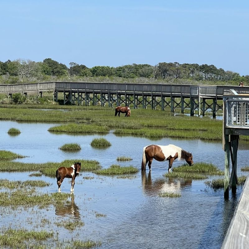 When Summer Crowds Never Leave