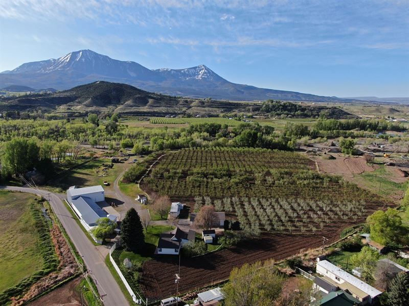 The Orchards and Farm Stands That Define the Valley