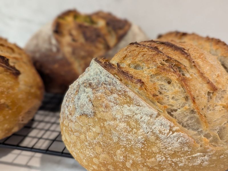 The Greatful Bread, Morgantown