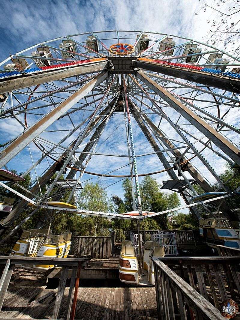 Rides Standing Like Statues in the Swamp Air