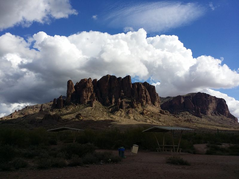 The Local Silence: Why Insiders Don't Talk