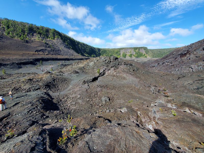 The Phenomenal Night Glow