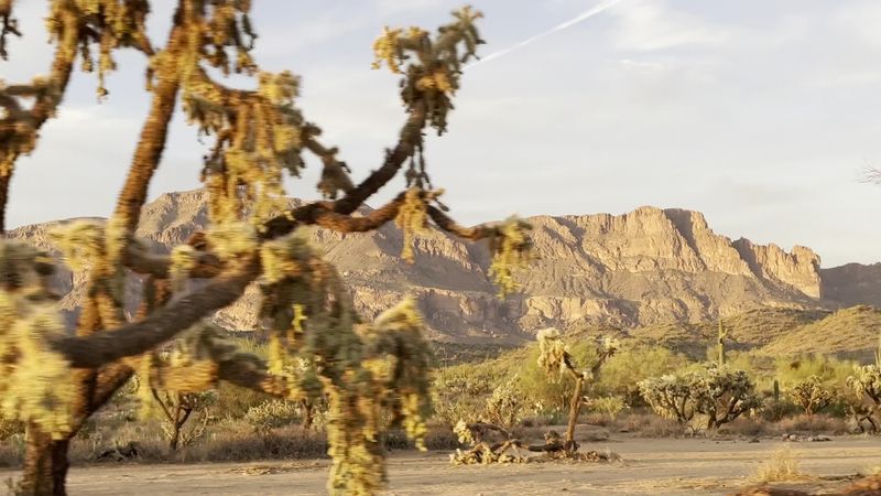 The Superstitions’ Shadow: Where the Legend Lives