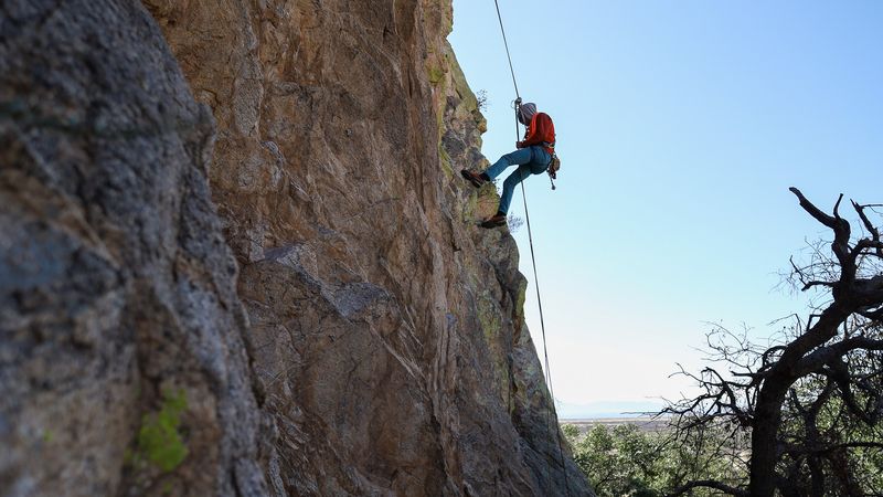 Baboon Wall (Near Tucson)