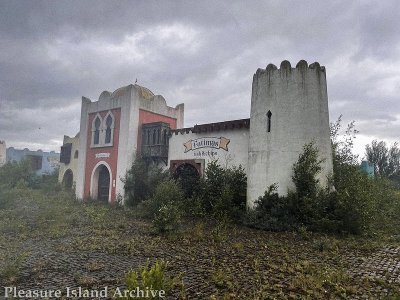 Nature's Aggressive Reclamation