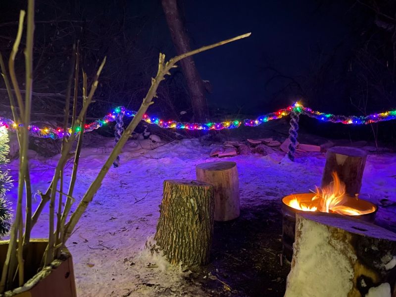 The Lighted Main Street Parade