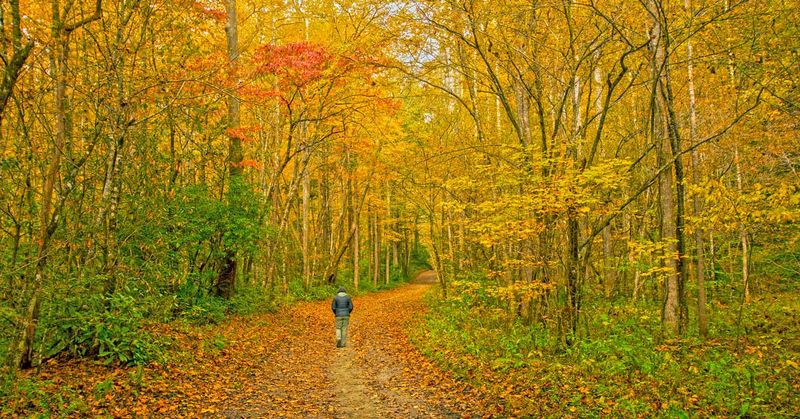 Mountain Trails Offer Intimate Adventures for Two