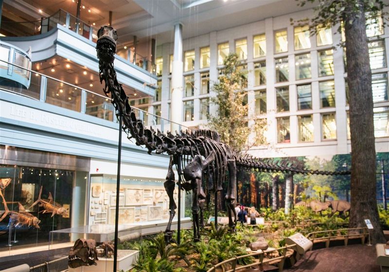 The Carnegie Museums