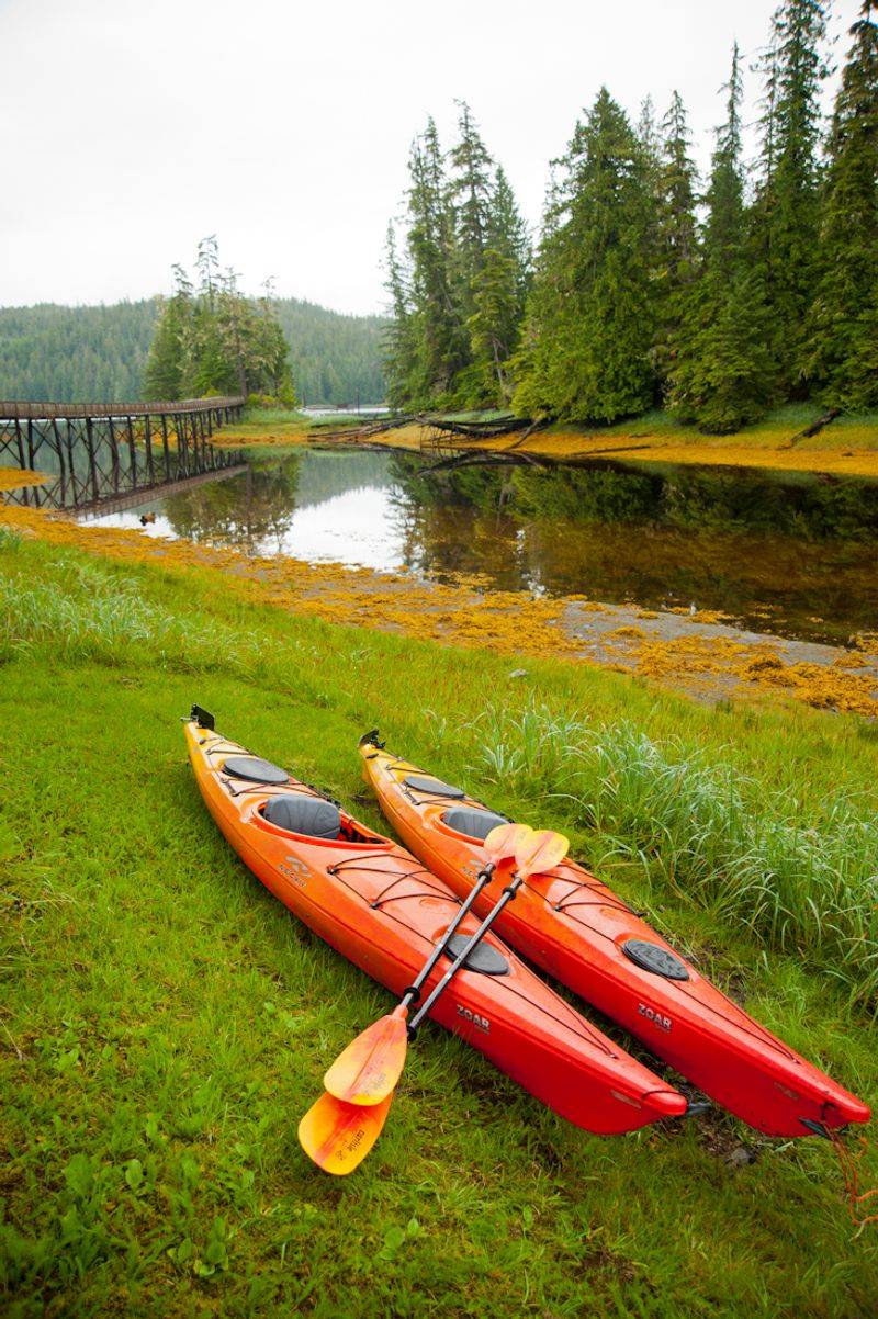 Boardwalks Replace Traditional Roads